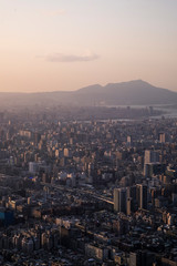 대만 타이페이 스카이라인이 보이는 도시사진