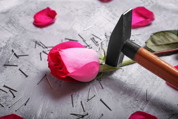 Pink rose, hammer and nails close-up on a gray stone background