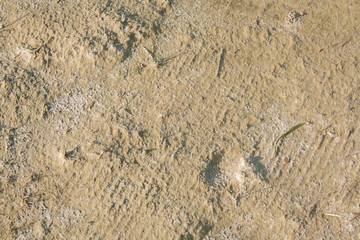 Textur Sand Textures