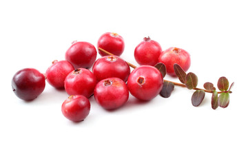 Cranberries with leaves