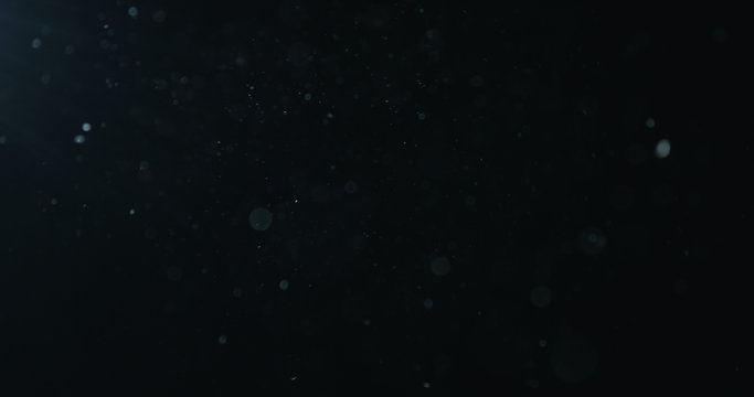 natural dust particles float in air on black background