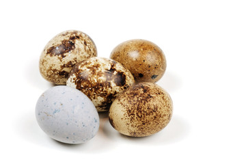Fototapeta na wymiar Spotted quail eggs on a white surface