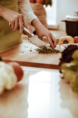 Unknown human hands cooking in kitchen. Woman is busy with vegetable salad. Healthy meal, and vegetarian food concept