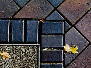 interlocking patio stone brick paving block background image with metal divider strip. yellow leaves in the fall. patterns and textures. autumn mood. metal divider strip. patterns