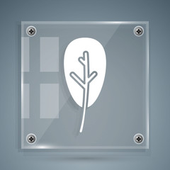 White Leaf icon isolated on grey background. Leaves sign. Fresh natural product symbol. Square glass panels. Vector Illustration
