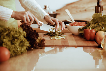 Unknown human hands cooking in kitchen. Woman slicing green onion. Healthy meal, and vegetarian food concept