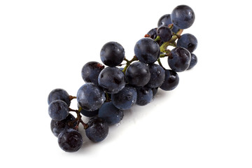 Black wine grape