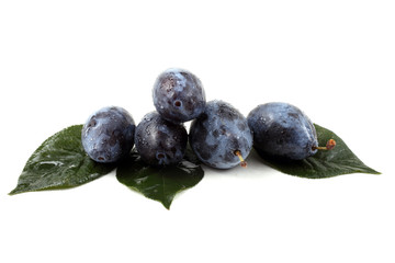 Plums and leaves