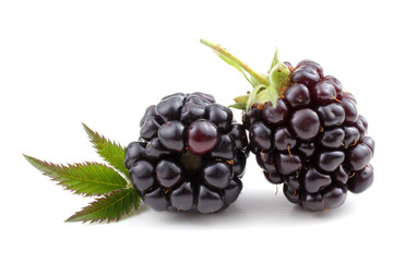 Two blackberries with leaf