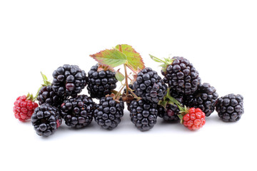 Blackberries
