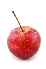 Red little apple