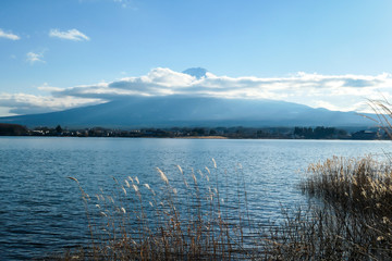 An idyllic view on Mt Fuji from the side of Kawaguchiko Lake, Japan. The volcano is surrounded by clouds. Dried, golden grass on the shore of the lake. Serenity and calmness. Bright and clear day.