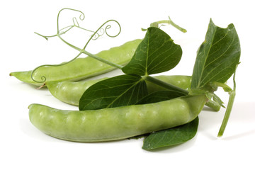 Pea and leaves