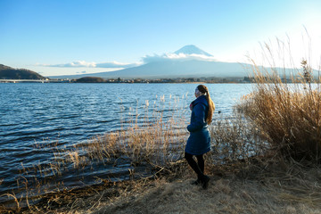 Fototapeta na wymiar A woman walking in between golden grass at the shore of Kawaguchiko Lake, Japan with the view on Mt Fuji. The girl is enjoying the view on the volcano. The mountain surrounded by clouds. Serenity