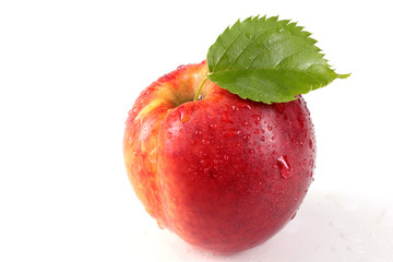 Nectarine