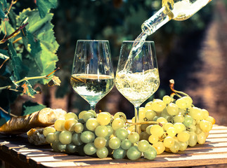 glass of White wine ripe grapes and bread on table in vineyard