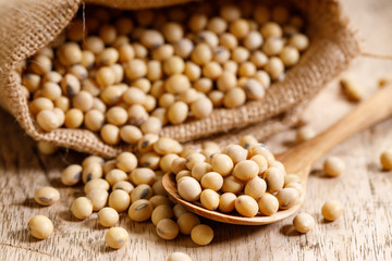 soy beans in gunny bag and soy beans in wooden spoon