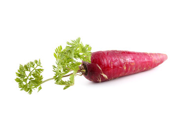Red carrot with leaf