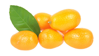 Composition with unpeeled ripe kumquat fruits with green leaf isolated on white background