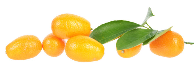 Composition with unpeeled ripe kumquat fruits with green leaves isolated on white background