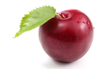 Plum and leaf