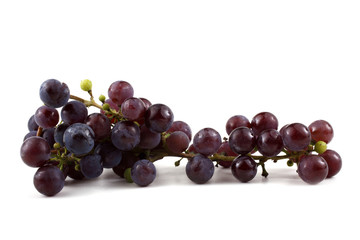 Black wine grape