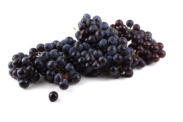 Black wine grape