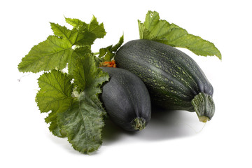 Green squashes, leaves and flower