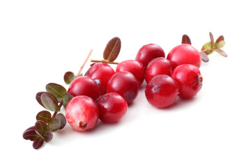 Cranberries and leaves