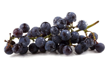 Black wine grape