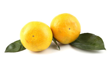 Two mandarin oranges