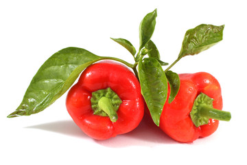 Red peppers and leaves