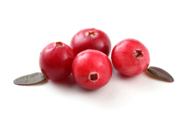 Cranberries and leaves