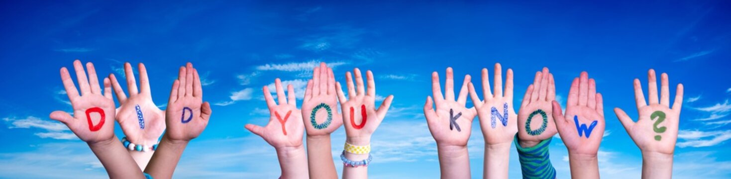 Children Hands Building Colorful Word Did You Know. Blue Sky As Background