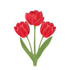 Bouquet of tulips. Three red spring flowers with green leaves and stems isolated on a white background. Vector holiday illustration in cartoon flat style.