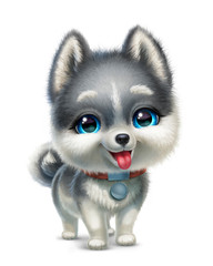 Obraz premium husky puppy isolated on white