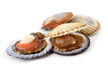 Opened and closed scallops
