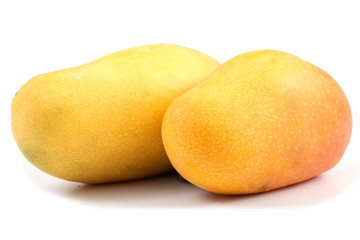Two mango fruits