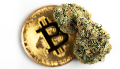 medical marijuana, cannabis bud macro with bitcoin background