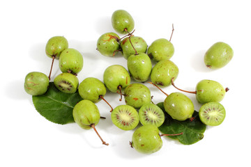 Little kiwi fruits (actinidia kolomikta)