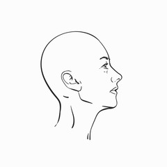 Portrait of bald headed woman in profile, Hand drawn linear illustration, Vector sketch isolated on white background