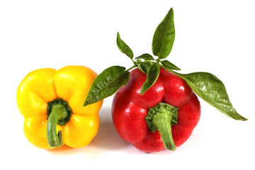 Red and yellow peppers and leaves