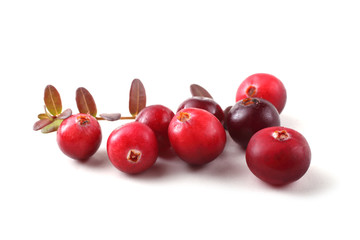 Cranberries and leaves