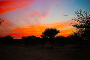 Obraz na płótnie Canvas sunset over a field
