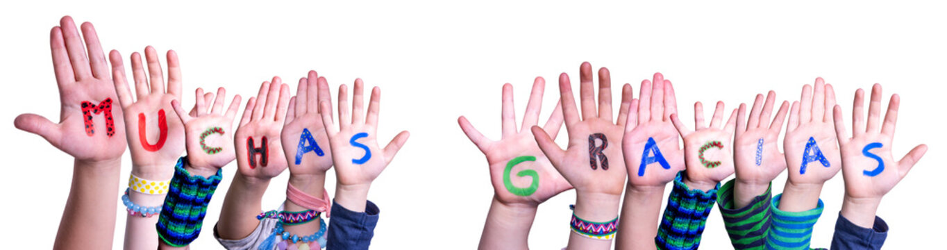 60 BEST Muchas Gracias IMAGES STOCK PHOTOS VECTORS Adobe Stock