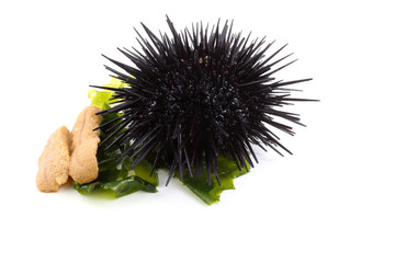 Black sea urchin and caviar