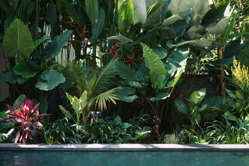 Swimming pool with outdoors at sunny day