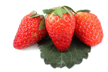 Three strawberries on leaf