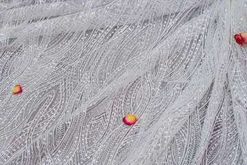 White wooden background with white spring flowers roses and lace ribbon. Happy womans day. The...