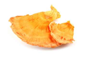 Chicken mushroom